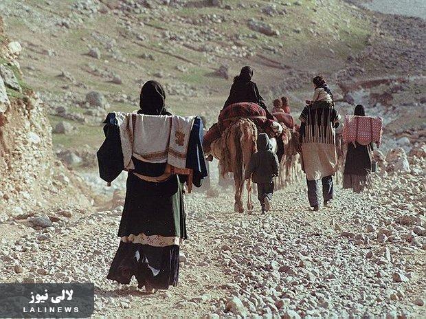 کوچ دوباره عشایر بختیاری/به دنبال بوی کرفس در امتداد زردکوه بختیاری