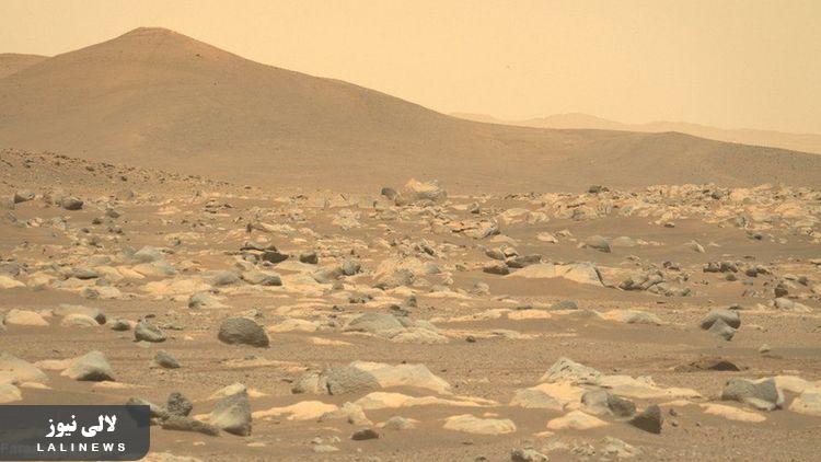 تصاویری شگفت انگیز از سطح سیاره مریخ