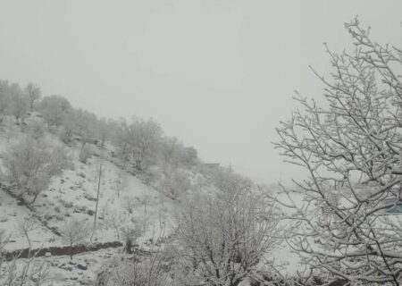 برف و باران در زاگرس بختیاری/برف از تاراز اندیکا تا چری کوهرنگ را سفید پوش کرد