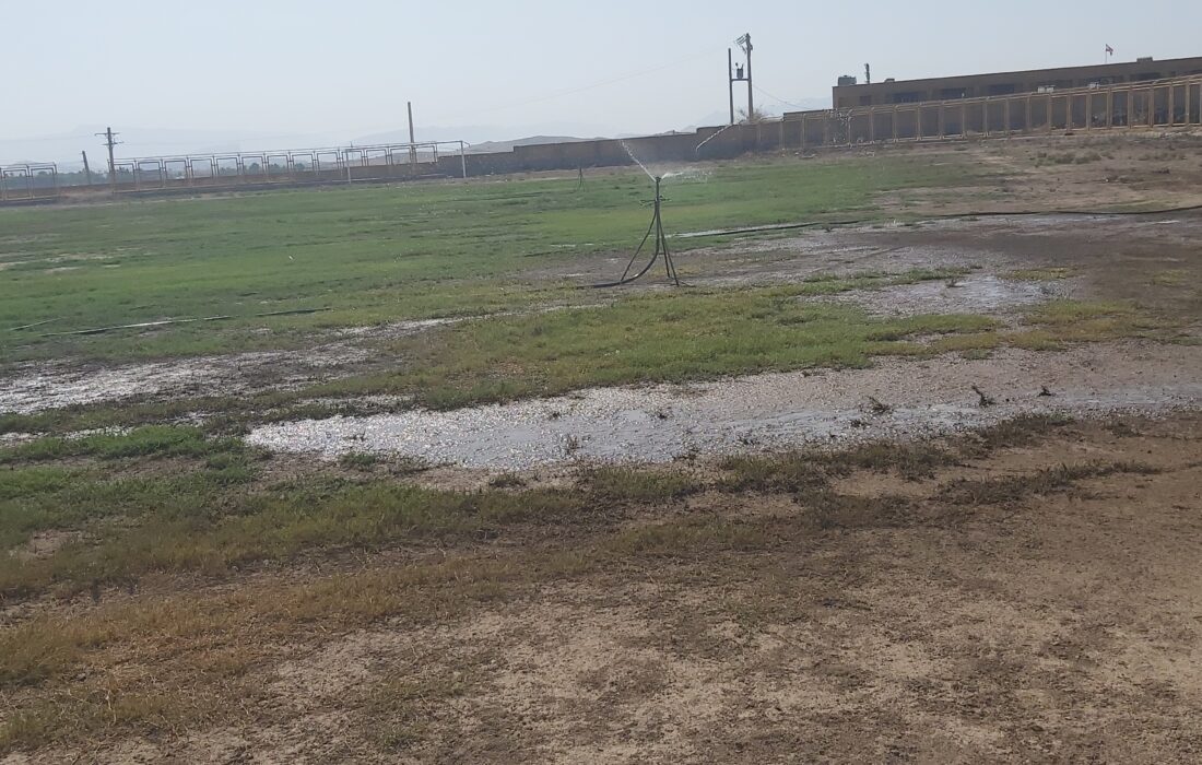 حال و روز بیمار تنها زمین چمن طبیعی فوتبال شهرستان لالی/نارضایتی اهالی فوتبال از زیر ساخت های ضعیف + عکس