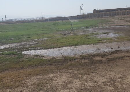 حال و روز بیمار تنها زمین چمن طبیعی فوتبال شهرستان لالی/نارضایتی اهالی فوتبال از زیر ساخت های ضعیف + عکس