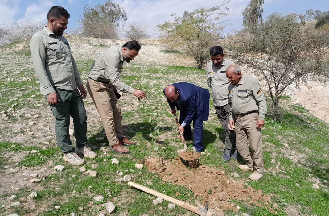 کاشت ۱۰۰ اصله نهال در منطقه جنگل کاری خواجه آباد لالی به مناسبت هفته منابع طبیعی