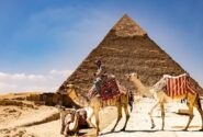 بازدید گردشگران با شتر از اهرام جیزه مصر