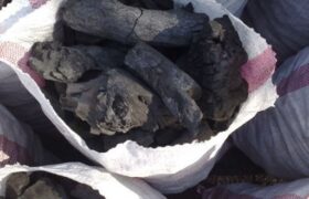 کشف و ضبط ۵۰ کیسه ذغال بلوط در شهرستان لالی/هشدار به متخلفان و قاچاقچیان ذغال