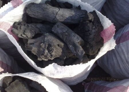 کشف و ضبط ۵۰ کیسه ذغال بلوط در شهرستان لالی/هشدار به متخلفان و قاچاقچیان ذغال