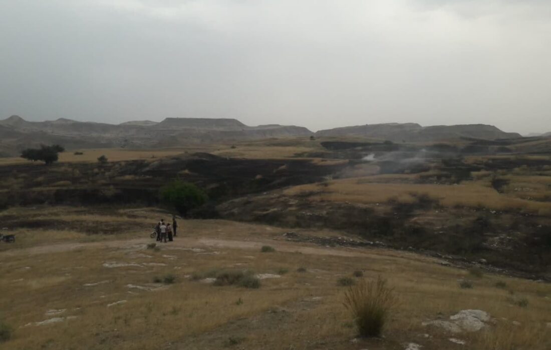 رعد و برق ، مزارع کشاورزی در لالی را به آتش کشید/کنترل آتش سوزی توسط مردم