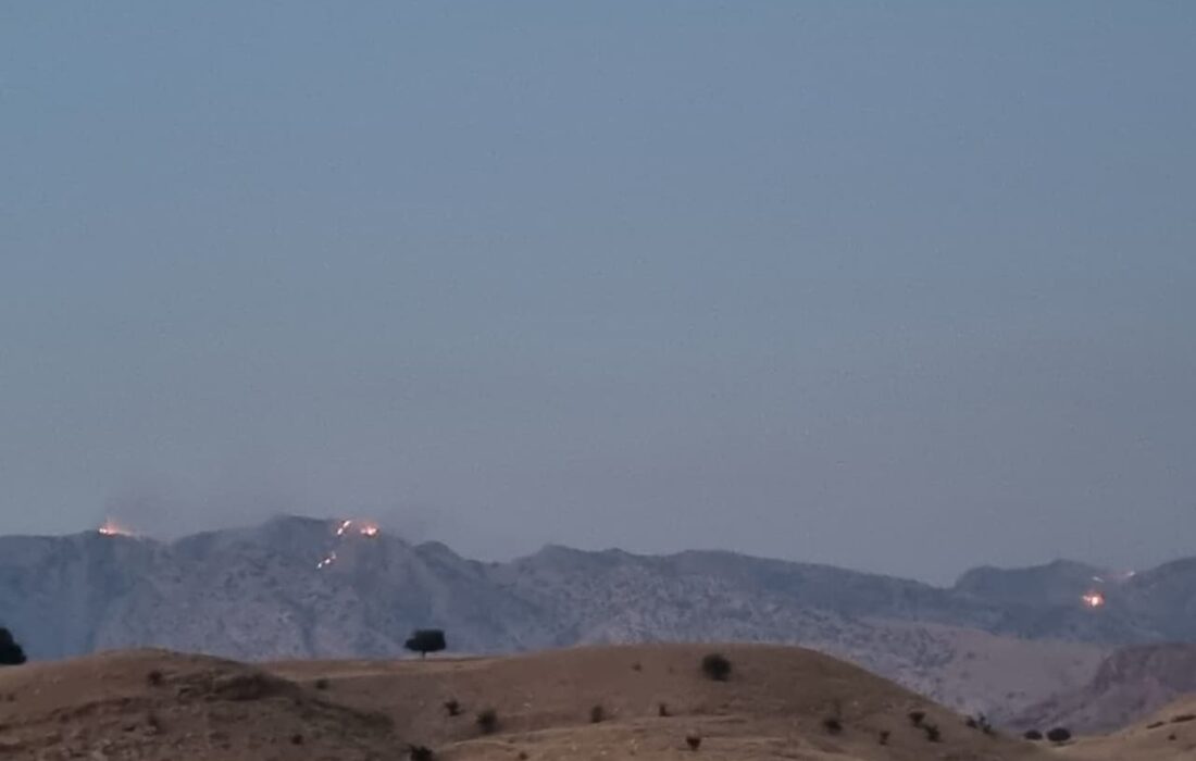 آتش سوزی در کوه های صعب العبور لالی