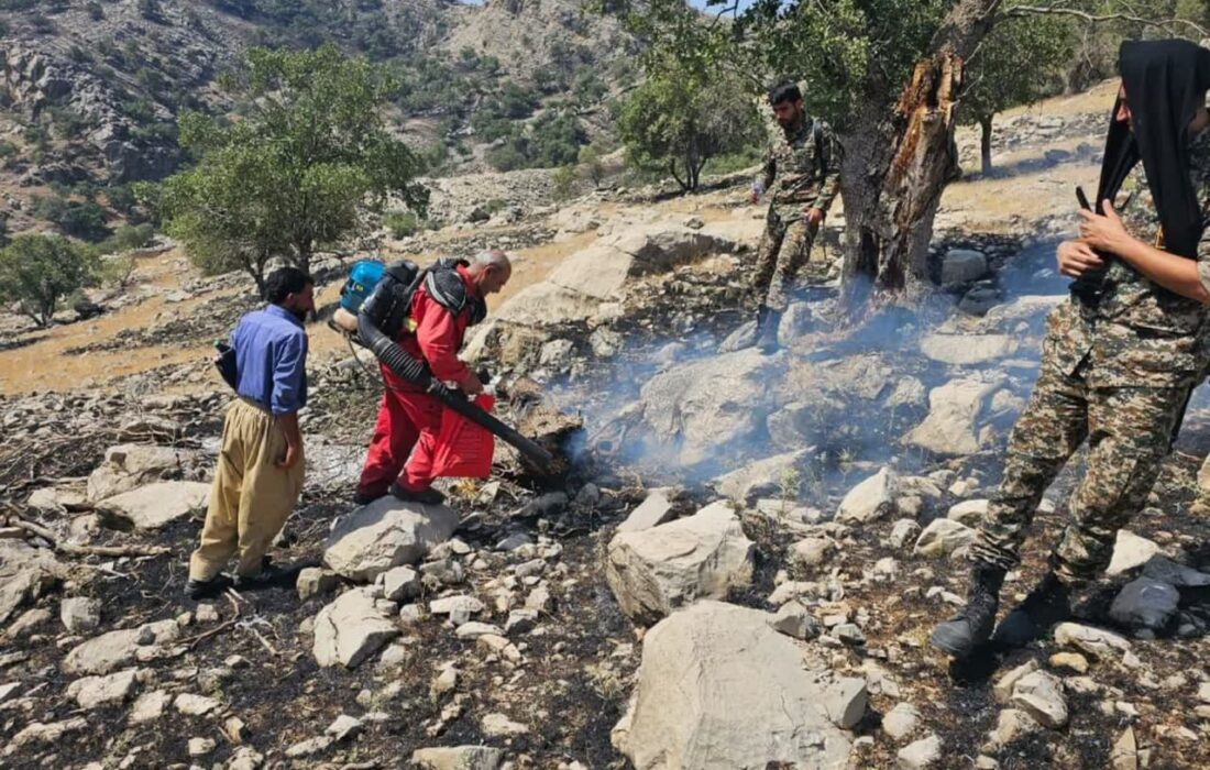 تلاش برای خاموش کردن آتش در ارتفاعات لالی