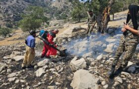 تلاش برای خاموش کردن آتش در ارتفاعات لالی