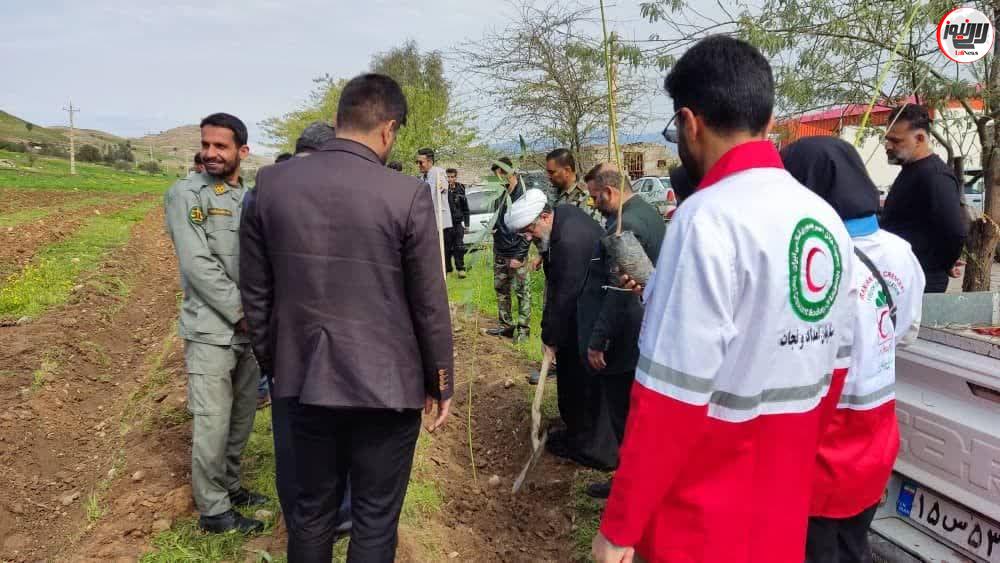 کاشت ۱۰۰ اصله نهال در روز درختکاری/۳۴۰۰۰ هزار نهال اکالیپتوس در حال توزیع است